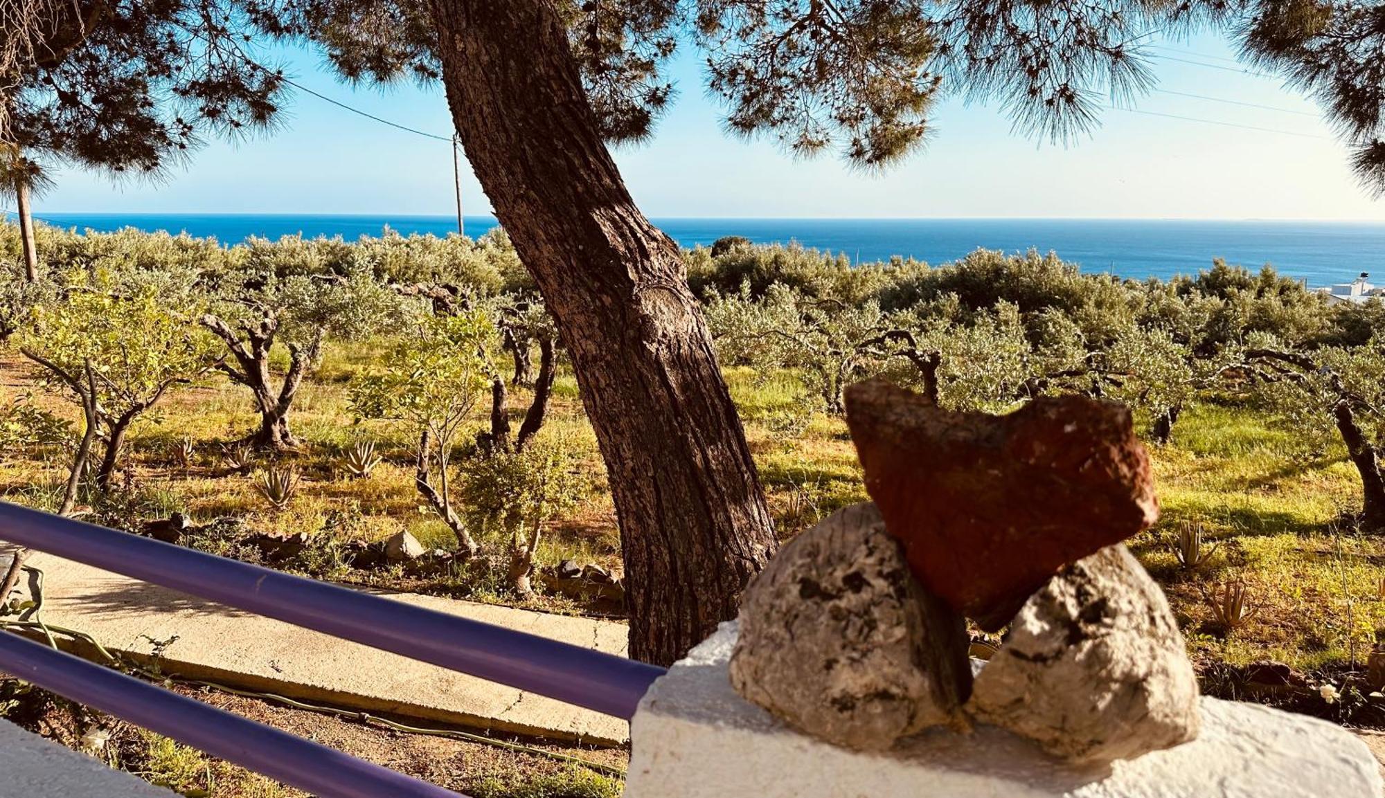 Studios Crete Ferma Buitenkant foto