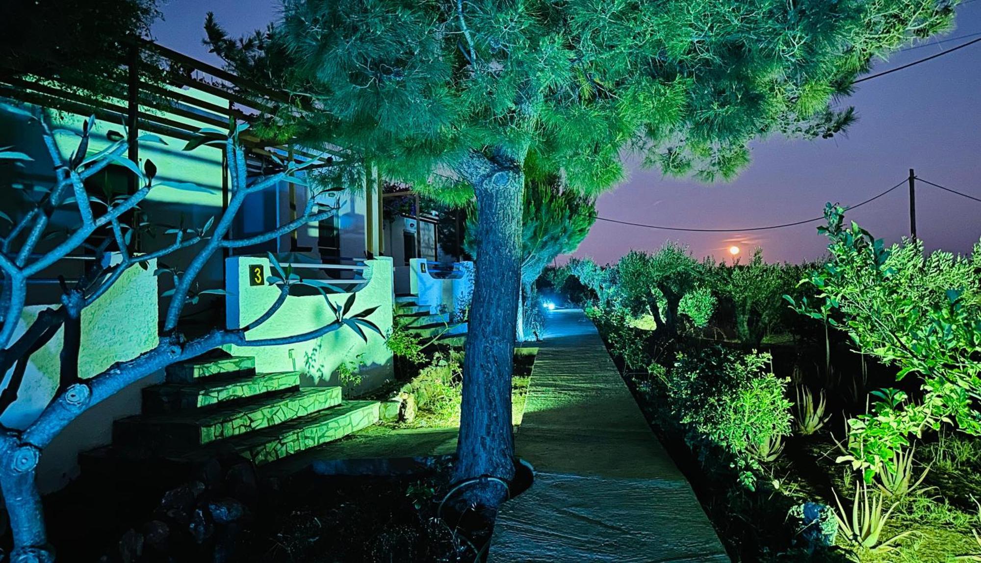 Studios Crete Ferma Buitenkant foto