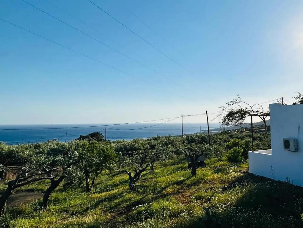 Studios Crete Ferma Buitenkant foto